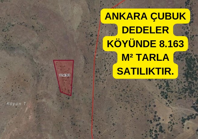 Fotoğraf